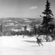 Skiers on an Ungroomed Trail