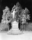 Statue of Ira Allen (Winter)