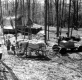 Collecting Sap Near a Sugar House
