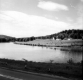 Dairy Farm Along a River