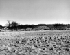 Farm with Automobile Junkyard
