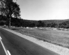 Car JunkYard Beside a Paved Road