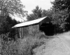 Covered Bridge in the Woods