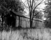 Covered Bridge with Tall Grasses in the Foreground