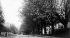 View Down Street in Pittsford
