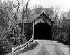 Covered Bridge in the Forest