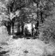 Horseback Riding in the Fall