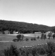 Farm in Valley