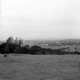 View of Village with Cow Field in the Foreground
