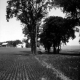 Farm Along Lake Champlain