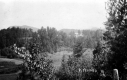 View of Sanatorium Among Pine Trees from Hill Across Valley