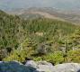 Buildings on Cleared Area of Camel's Hump: Reshot