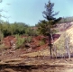 Tailings Pile