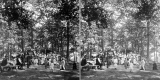 Gathering of People in a Park