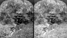 View in the Dellwood Cemetery