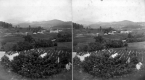 Cemetery and Farm Fields