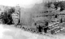 The Collapse of the C.V. Bridge