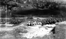 Damaged Railroad Tracks