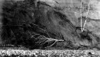 Flood Sediment Transportation