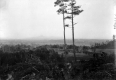 Camel's Hump from Ethan Allen Tower