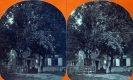 The Johnsons' House