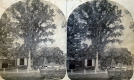 The Johnsons' Barn