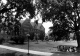 Circle of Students on Main Green 