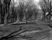 UVM Main Green 