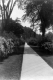 Walkway on UVM Green