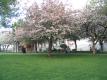 City Hall