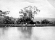 Canoes on the River