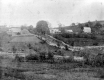 Ethan Diamond Farm
