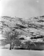 View of Ely Village