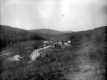 Houses Along a Dirt Road
