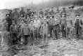 Group of Miners