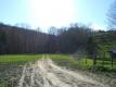 West Brookfield Farm Field