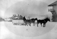 Horses Pulling Large Sleigh