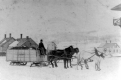 Horses with Sleigh in Town
