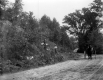 Horse and Buggy on Dirt Road