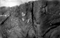 Schist Structure