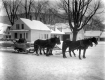 Team of Horses Pulling Logs