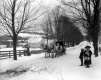 Children and Horses on Road