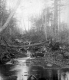 Copperfield Brook