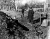 Trench Digging