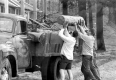 Clearing Spring Driftwood