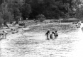 Swimming at Leddy Beach