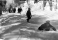 Sledding at Ethan Allen Park