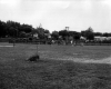 Callahan Park