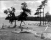 View of North Beach from Playground