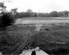 South Park from Shelburne Road